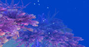 Seabrush