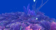 Seabrush-coral