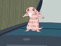 Aileyisacoold.jpg