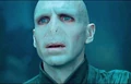 Dhvoldy.jpg