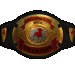 Standard 75x75 collect belt2 01.gif