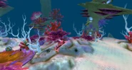 Deepfin-Ridge