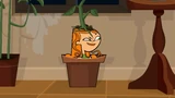 Plantedizzy