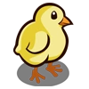 Chicken Baby-icon.png