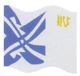 Anakin Skywalker flag.jpg