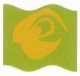 Mars Guo flag.jpg