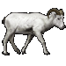 Item BigHornRam 01