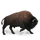 Item bison 01