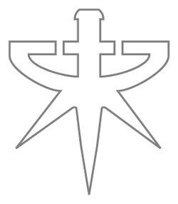 RaynorsRaiders SC2 Logo1