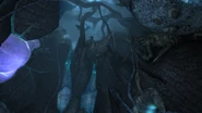 Prime husks