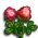 Red Clover-icon