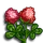Red Clover-icon
