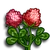 Red Clover-icon