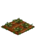 Red Clover withered