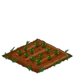 Red Clover 33