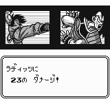 DBZ Game 23