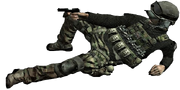 Last Stand