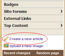 Create a New Article