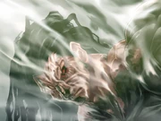 Godhand