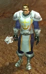 Tower Warden