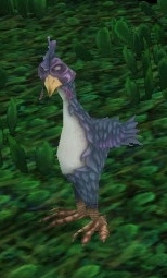 Wild Clucker