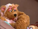 Curly Bear