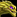 IconSmall Eel