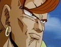 Android16c