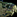 IconSmall SeaTurtle
