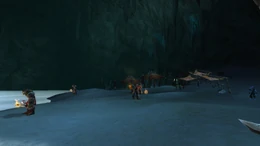Tenebrous-Cavern-base-camp