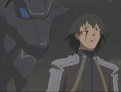 Shadow, Raven