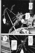 14c546376a63b8