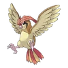 Pidgeotto