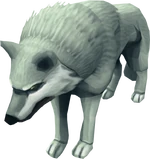 Wolf25