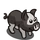 Miniature Pig