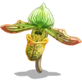 Orchids Exotic-icon