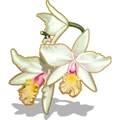 Orchids White-icon