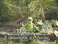 Nwf-critters.jpg