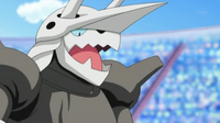 Aggron de Paul/Polo