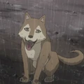 Chipi01