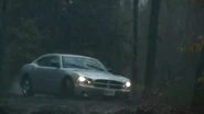 Carolinecar 17