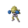 Hitmonchan E variocolor
