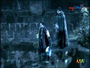 Encantadia 24