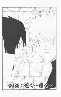 Chapter 485