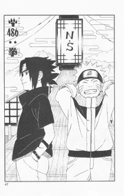 Chapter 486