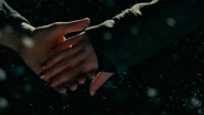 Trailer35