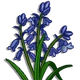 Bluebell-icon
