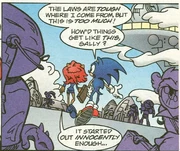 Litigopolis