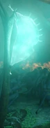 Bladderlantern2