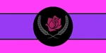 TRaPS Flag 1